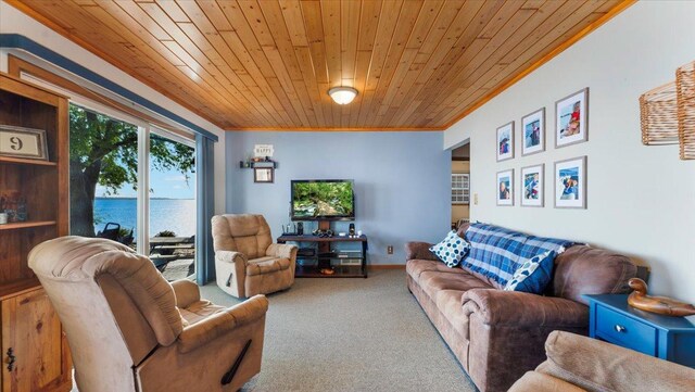 8737 123rd Ave SE, Lake Lillian, MN 56253 - carpeted living room featuring wood ceiling and crown molding