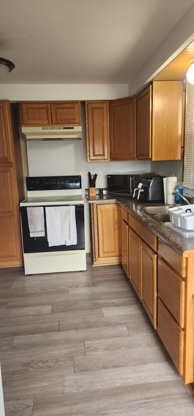 kitchen featuring light hardwood / wood-style flooring, electric range, and sink