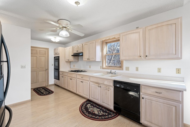 kitchen featuring sink, light hardwood / wood-style flooring, ceiling fan, black appliances, and a textured ceiling