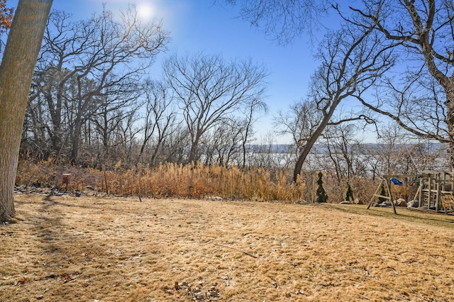 view of yard with a playground