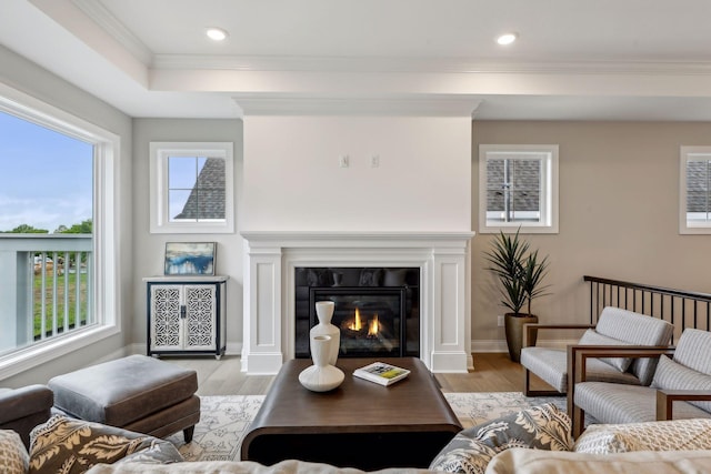 living room with crown molding, light hardwood / wood-style flooring, plenty of natural light, and a high end fireplace