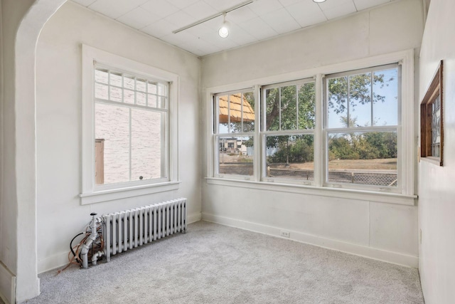 spare room featuring track lighting, light colored carpet, a wealth of natural light, and radiator