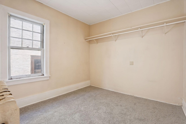 spacious closet featuring carpet