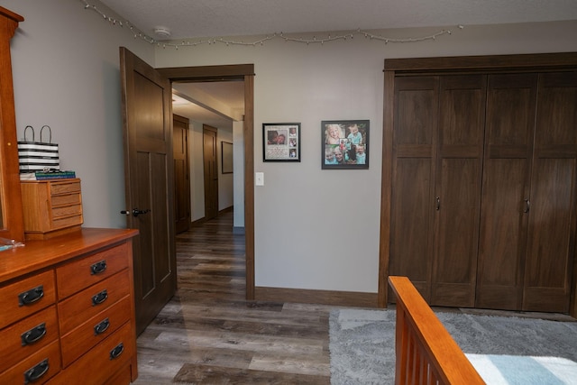 hall featuring dark wood-type flooring