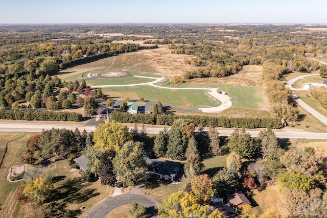 bird's eye view