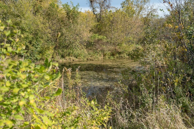 view of nature with a water view