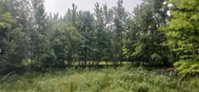 Listing photo 3 for XXXLOT4 County Road D, Clayton WI 54004