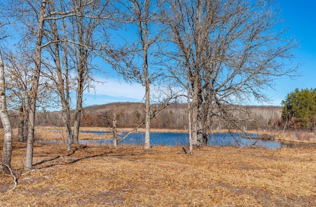 Listing photo 2 for XXX Tranus Lake Rd, Stinnett Twp WI 54875