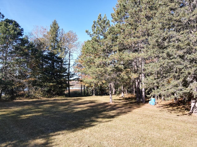 Listing photo 3 for XXX River Rd, Splithand Twp MN 55744