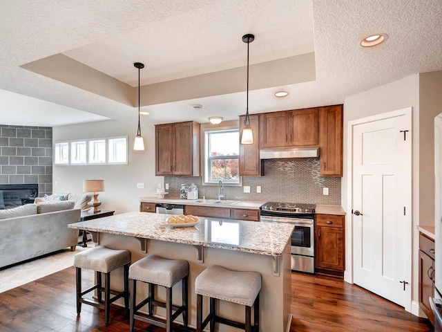 kitchen with dark wood-type flooring, appliances with stainless steel finishes, and a wealth of natural light