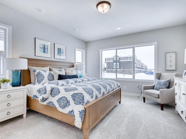 bedroom with light colored carpet