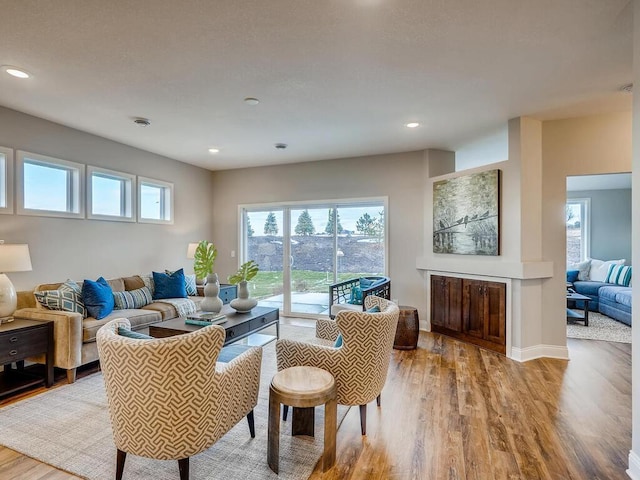 living room featuring light hardwood / wood-style flooring