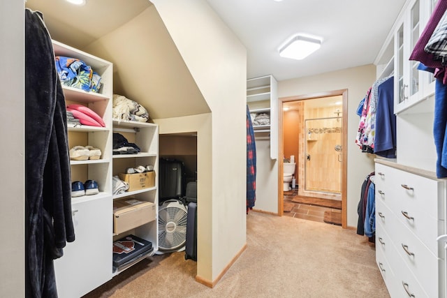 spacious closet featuring light carpet