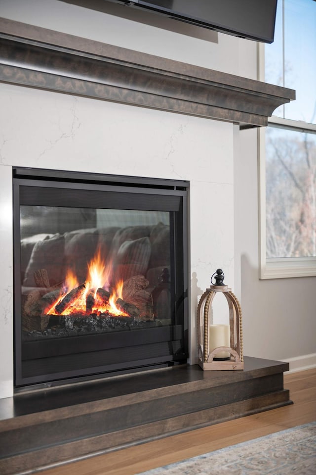 details with a fireplace and hardwood / wood-style flooring