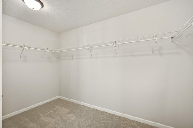 spacious closet with carpet floors