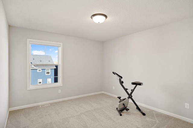 workout area featuring a textured ceiling and light carpet