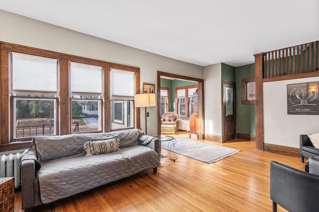 living room with radiator, a wealth of natural light, and light wood-type flooring