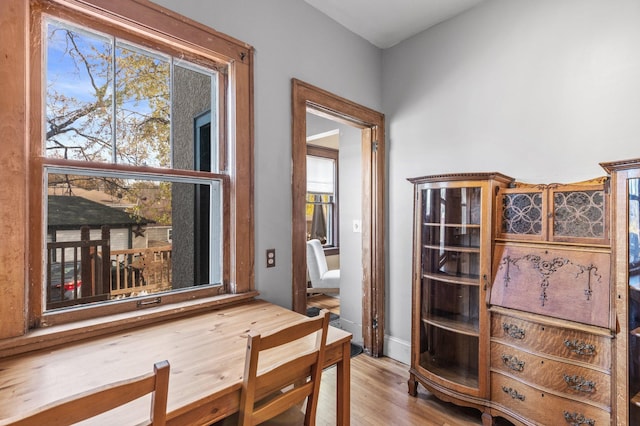 dining area with a wealth of natural light and light wood-type flooring