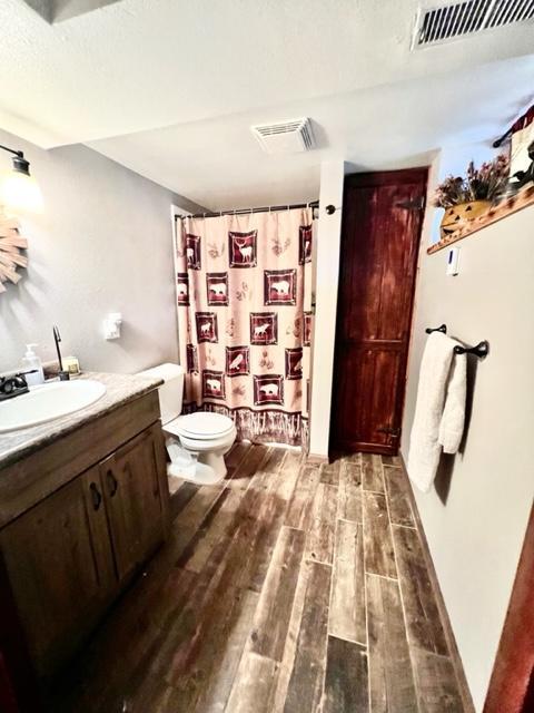 bathroom featuring vanity, toilet, a shower with curtain, and hardwood / wood-style floors