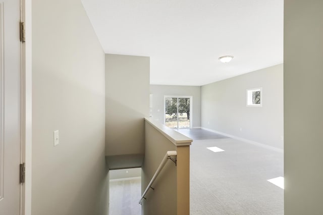 hallway featuring carpet flooring