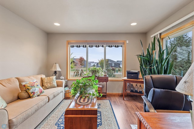 living room featuring hardwood / wood-style flooring and plenty of natural light