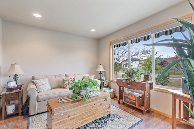 living room featuring hardwood / wood-style floors