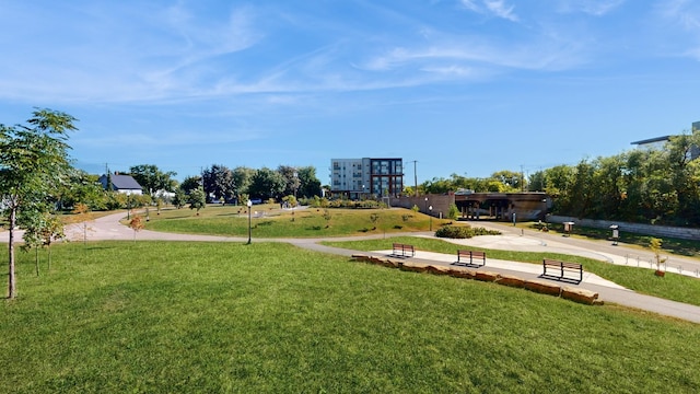 view of community featuring a lawn