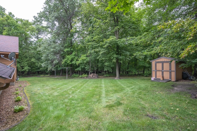 view of yard with a storage shed