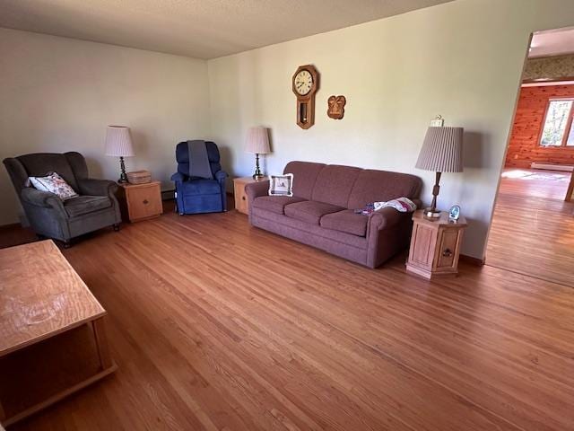 living room featuring wood finished floors