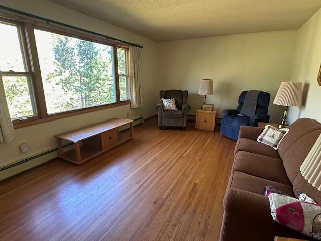living room featuring a textured ceiling, light wood finished floors, and a healthy amount of sunlight
