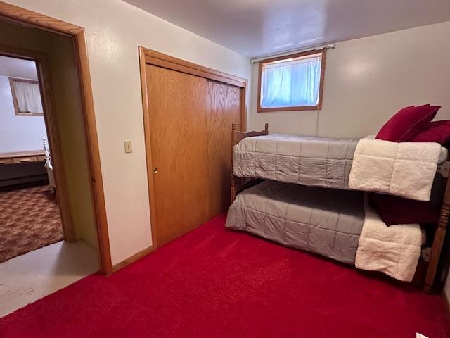 bedroom with a closet and carpet floors