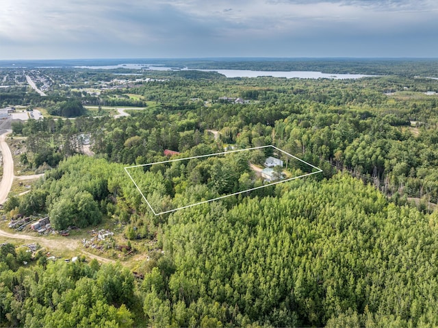 bird's eye view featuring a view of trees