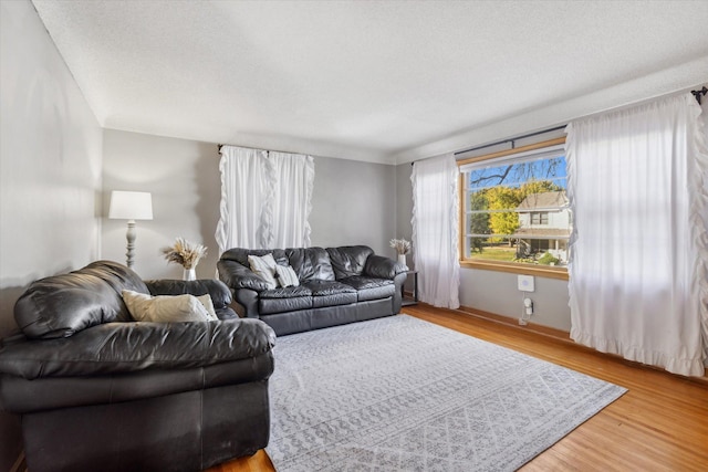 living room with hardwood / wood-style floors and a textured ceiling