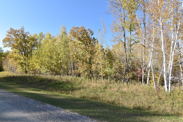 Listing photo 2 for TBD Jochim Dr NW, Baudette Twp MN 56623