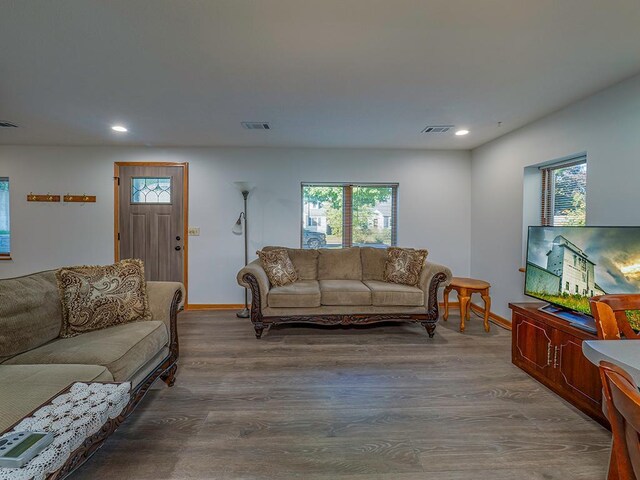 living room featuring plenty of natural light and wood-type flooring