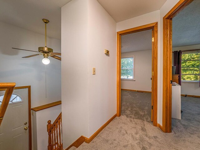 hall with light colored carpet