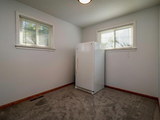 washroom featuring carpet flooring