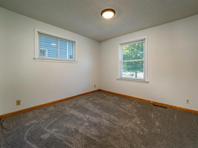 empty room featuring carpet flooring and a textured ceiling