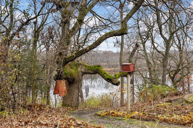 property view of water with a view of trees