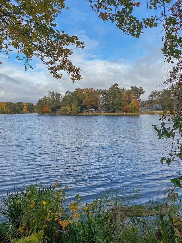 property view of water