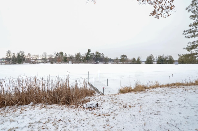 view of yard layered in snow