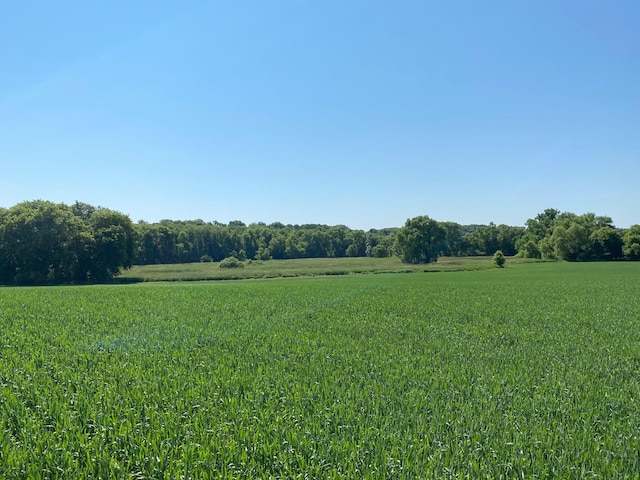 view of landscape with a rural view