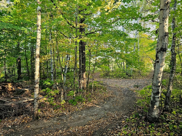 view of road