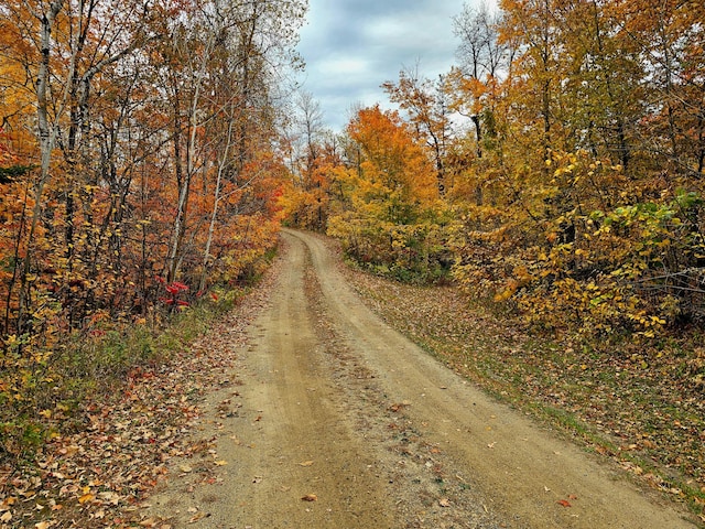 view of road