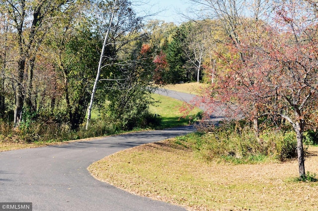 44154 Skogman Lake Rd, Fish Lake Twp, MN 55008 - view of road with street lighting