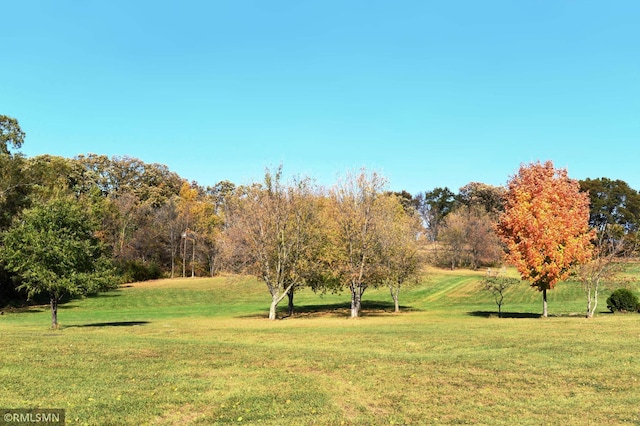 view of home's community featuring a lawn and a rural view