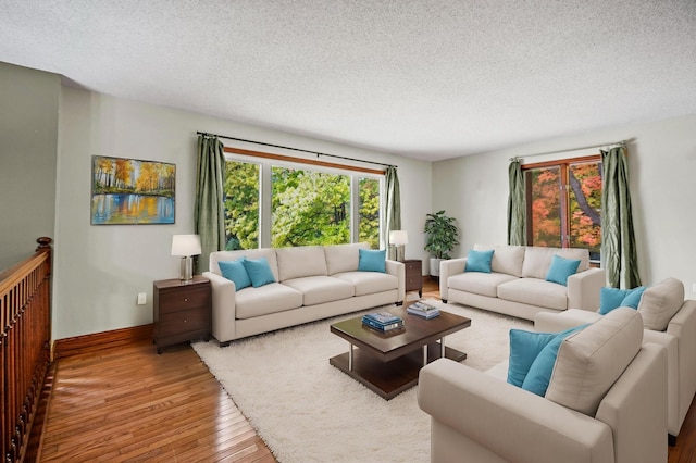 living room with wood-type flooring and a textured ceiling