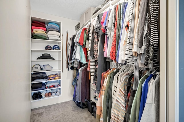 spacious closet with carpet flooring