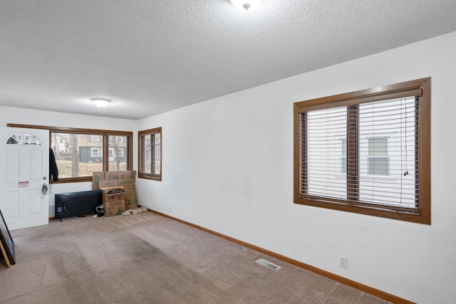 interior space with carpet floors and a textured ceiling