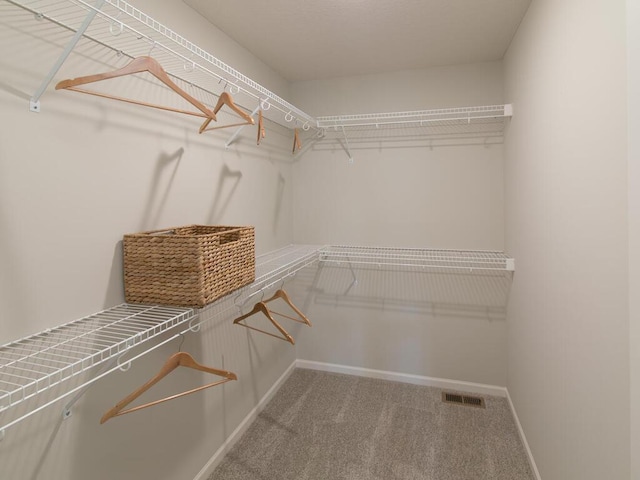 spacious closet featuring carpet